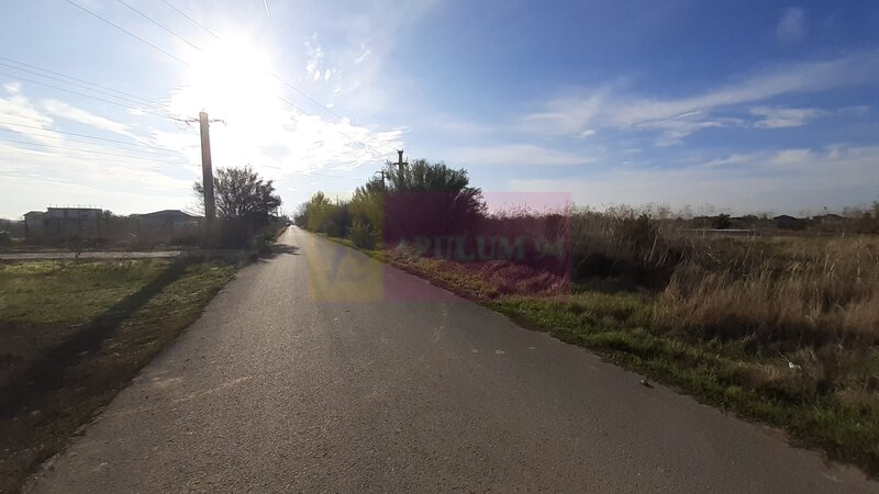 Teren la Asfalt cu utilitati alaturi (Curent & Gaz) langa Bucuresti