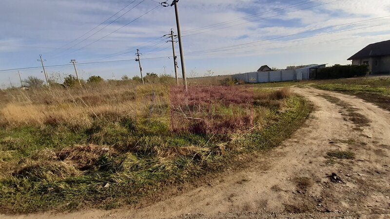 Teren la Asfalt cu utilitati alaturi (Curent & Gaz) langa Bucuresti