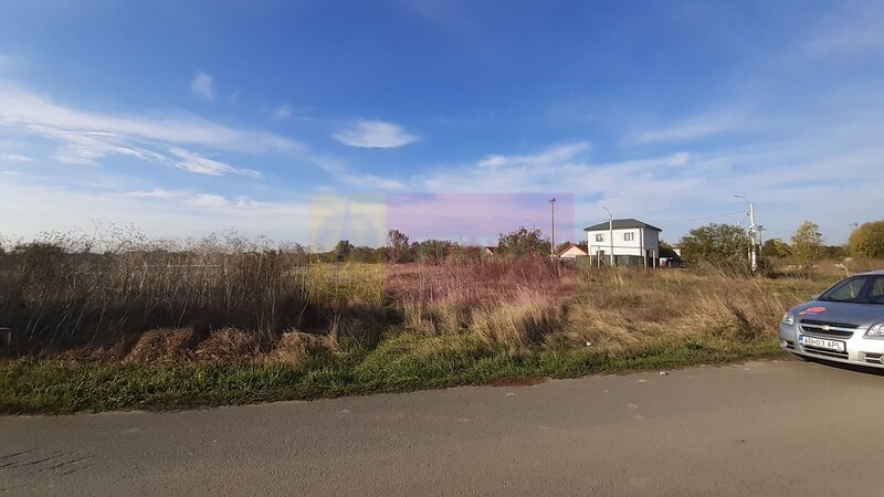 Teren la Asfalt cu utilitati alaturi (Curent & Gaz) langa Bucuresti