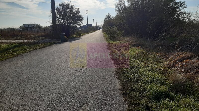 Teren la Asfalt cu utilitati alaturi (Curent & Gaz) langa Bucuresti